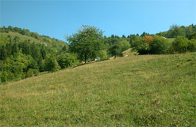 terreno della cascina in montagna