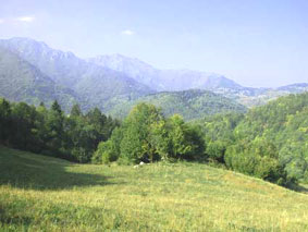 terreno della cascina in montagna